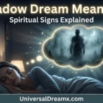 shadow in a dream meaning