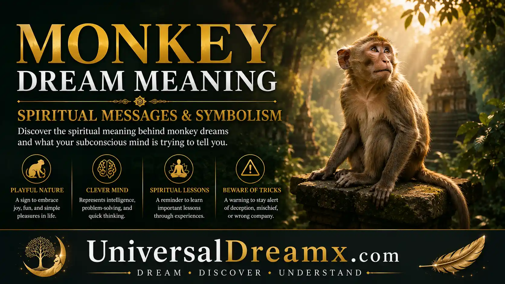 Monkey Dream Meaning